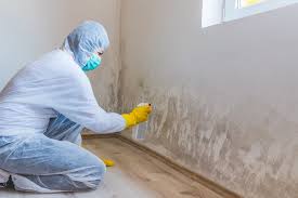 Best Forensic Mold Investigation  in Tukwila, WA